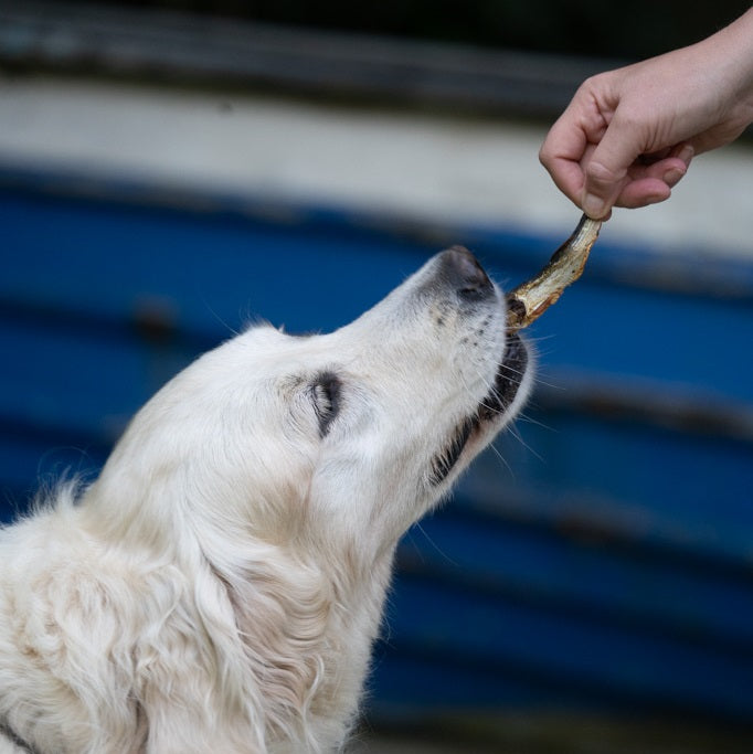 DOG DELI WHOLE SPRATS & HERRING MIX DOG TREATS 60g