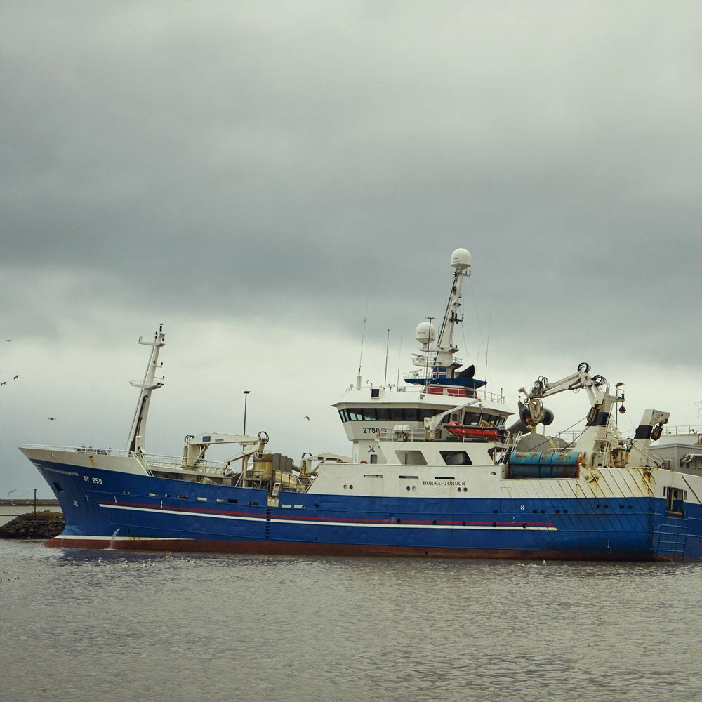 1232 - Cod & Herring