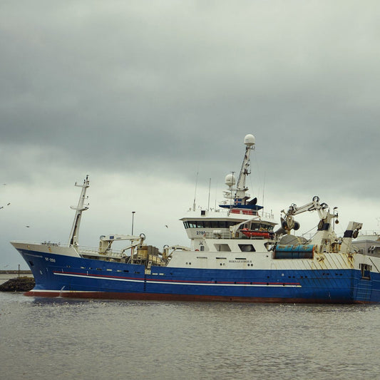 1231 - Whole Sprats & Herring Mix