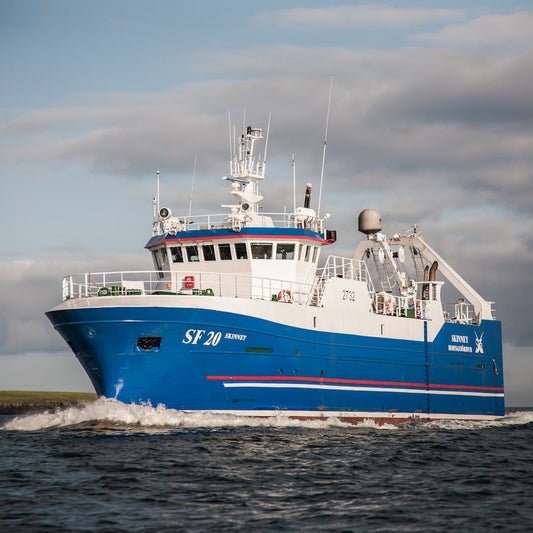 1232 - Cod & Herring